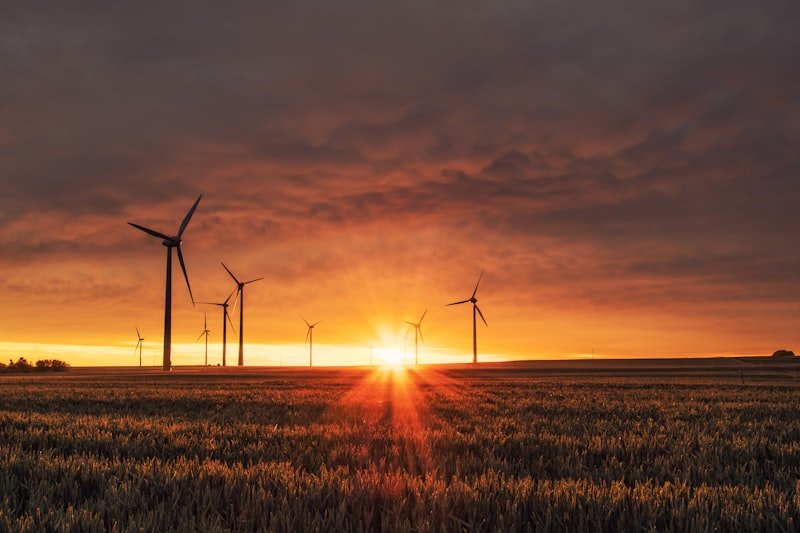 Solar Consulting